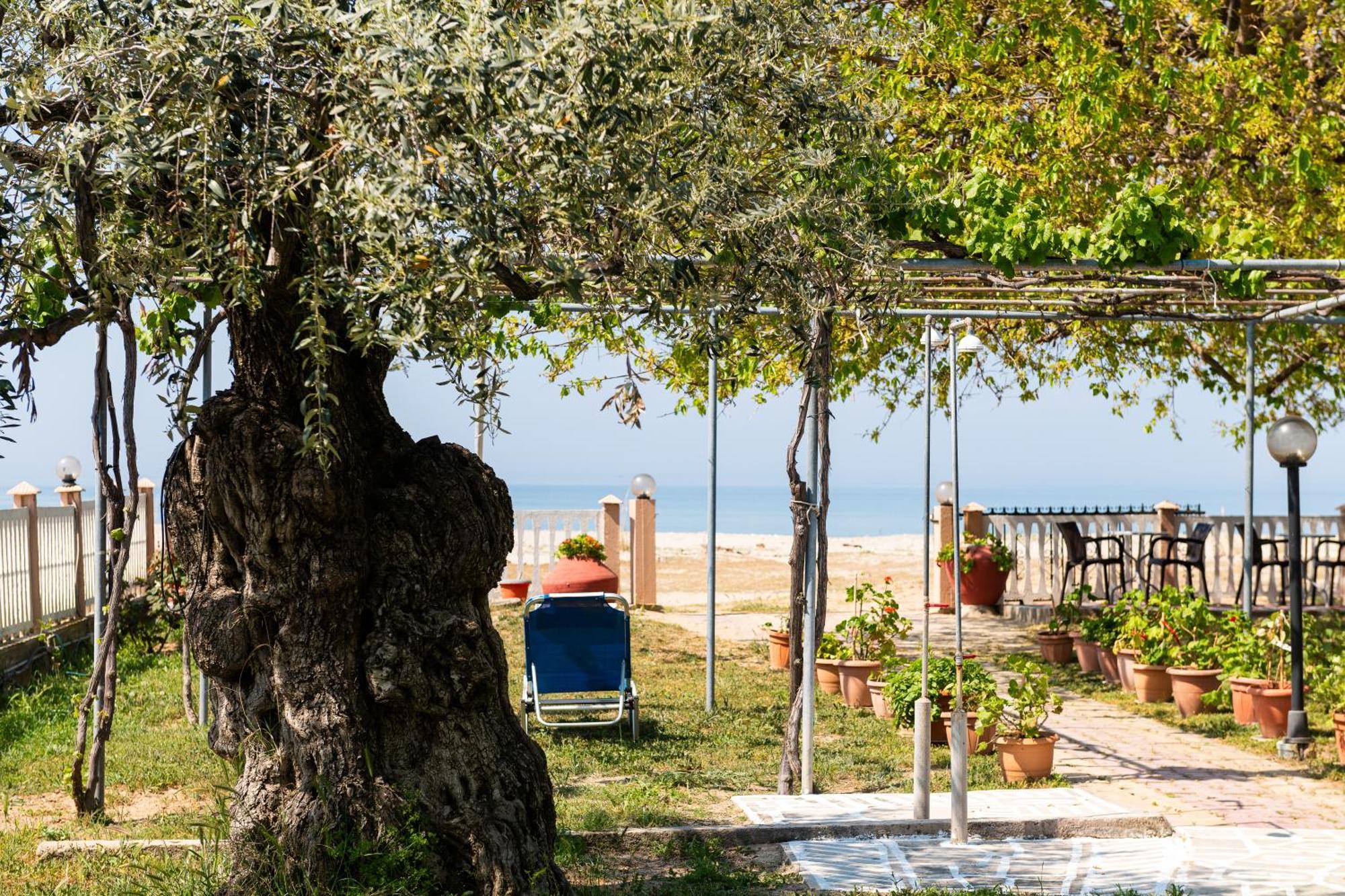 Opalium Beach Front Suites Potos Esterno foto